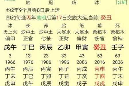 八字天元坐录详解：命盘分析、五行缺失、流年吉凶通解