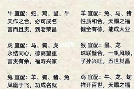 算命网合婚