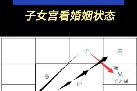 紫薇斗数导语