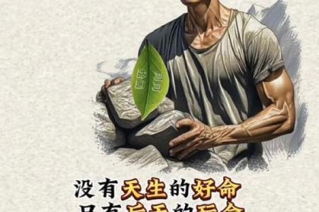 八字相同，命途各异，真是造化弄人