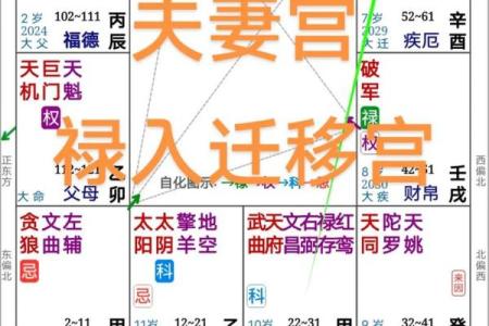 紫微斗数孤 紫微斗数孤辰在夫妻宫？