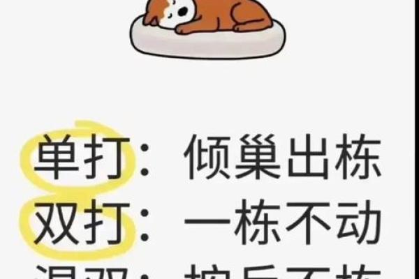 测试姓名配对游戏文案搞笑 测试姓名配对游戏文案搞笑句子？
