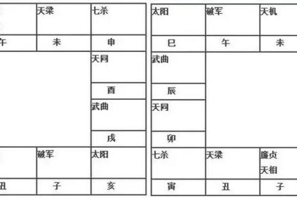 紫薇斗数府相