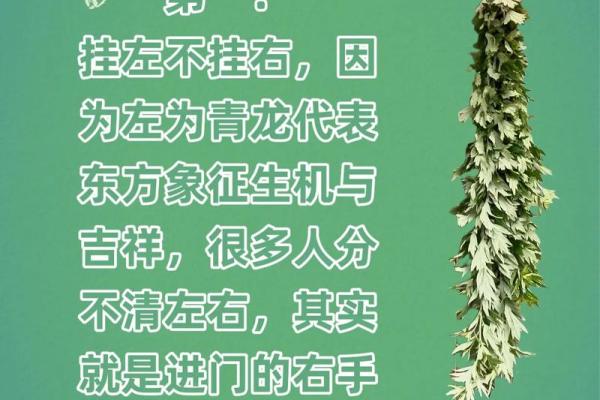 风水解答为什么不应该将艾草作为礼物送给别人