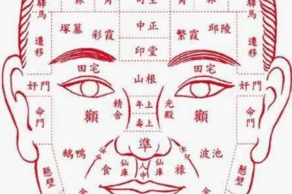 眼皮的面相解析 通过眼皮看面相算命 眼皮的面相解析 通过眼皮看面相算命