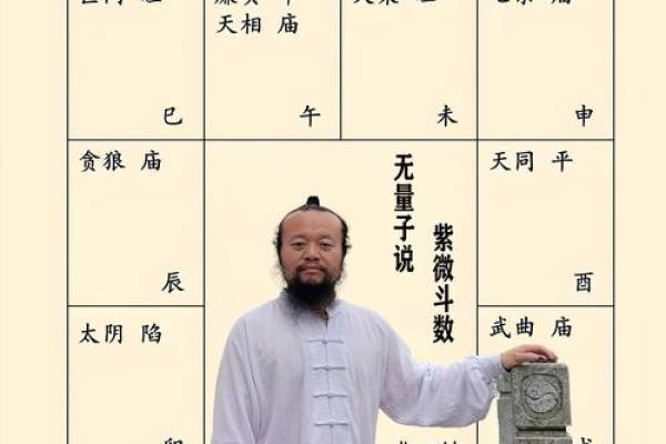 紫微斗数体系框架（零基础入门）