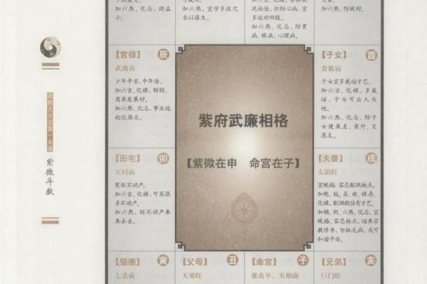 紫薇斗数算命准吗