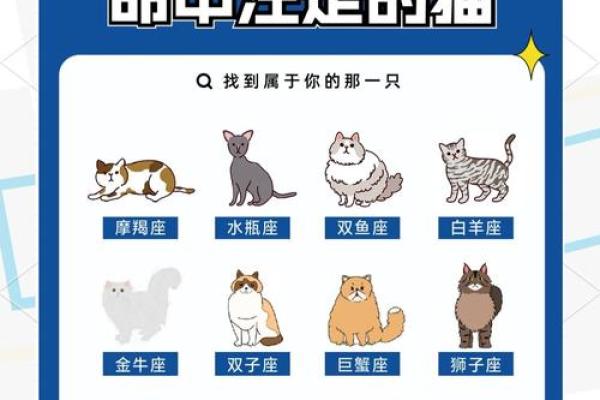 哪个星座最喜欢养动物的