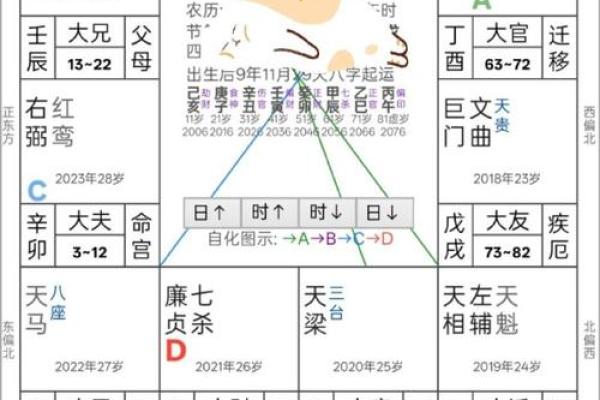 紫薇斗数贵子