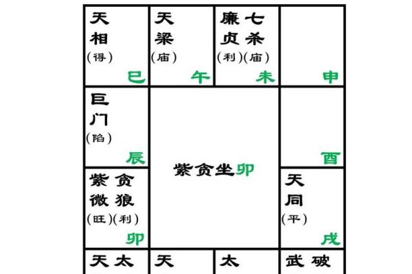 紫薇斗数看流年事业运势