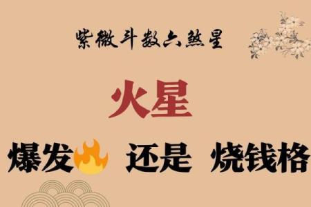 紫微斗数火星 紫微斗数火星有哪些？