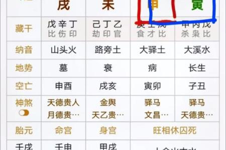 八字看哪些女人喜欢俊夫