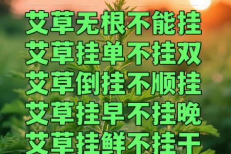 风水解答为什么不应该将艾草作为礼物送给别人