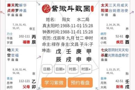 紫薇斗数看女命