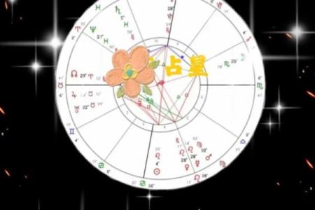 星座所主与断式口诀_太阴
