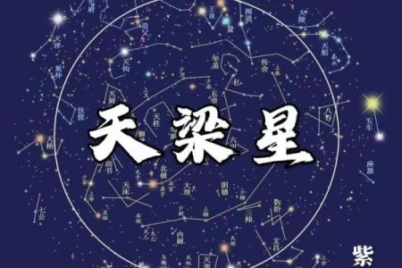 紫薇斗数全星辰