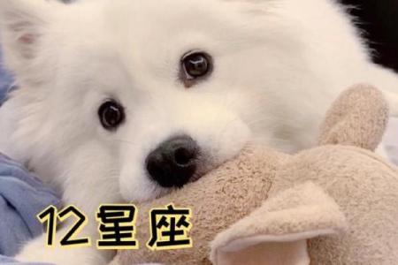 哪个星座最喜欢养动物的