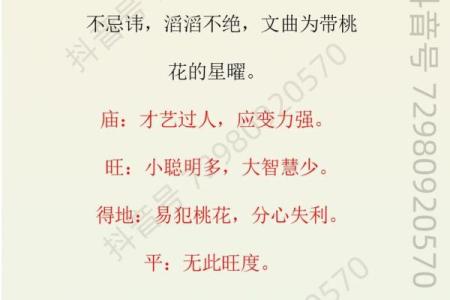紫薇斗数文曲男