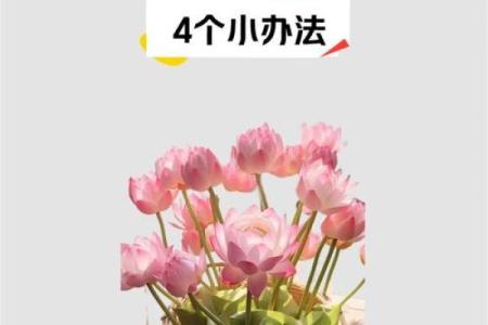 催旺官运的方位要摆放什么