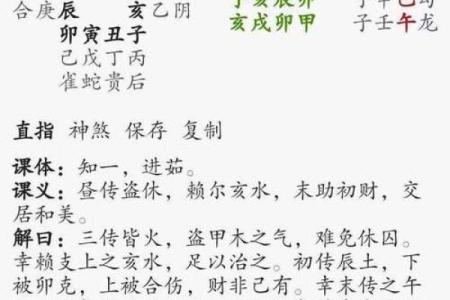 金口诀排盘怎么看