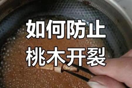 桃木不适合哪些人解释风水观点
