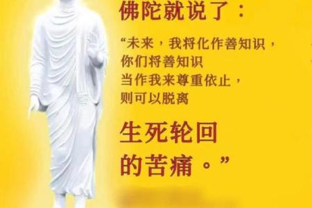 怎样的人适合学算命