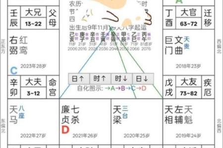 紫薇斗数贵子