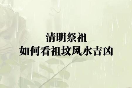风水师谈祖坟风水好有哪些征兆