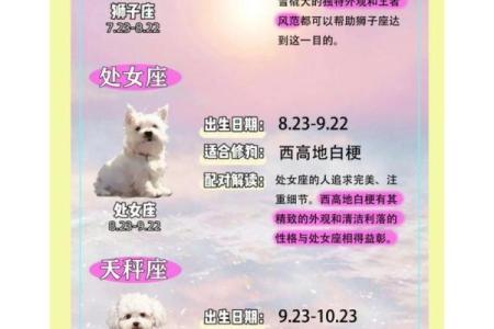 12星座适合养的什么狗