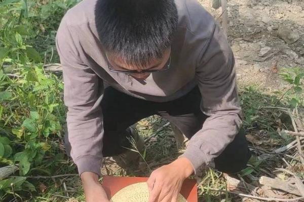 岑家风水
