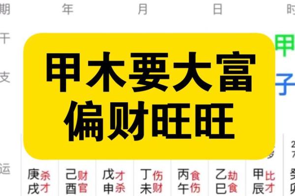 风水开运 木命男人如何旺财