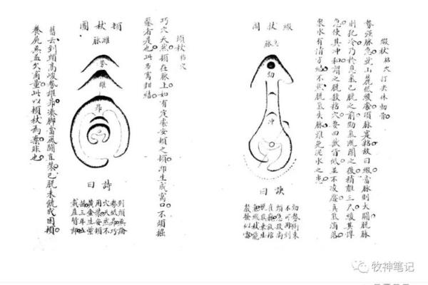风水学中的“截杖”指的是什么