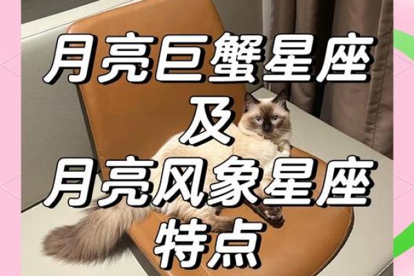 巨蟹属于风象星座吗男