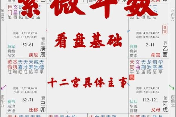 紫薇斗数内局