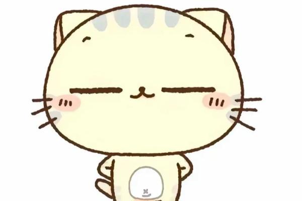 哪几个星座最适合做兄弟