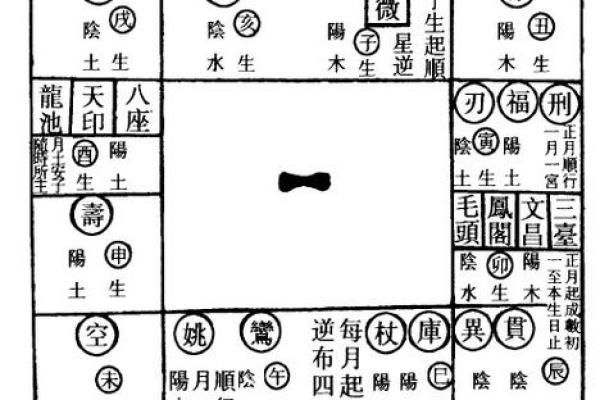紫薇星盘斗数排盘
