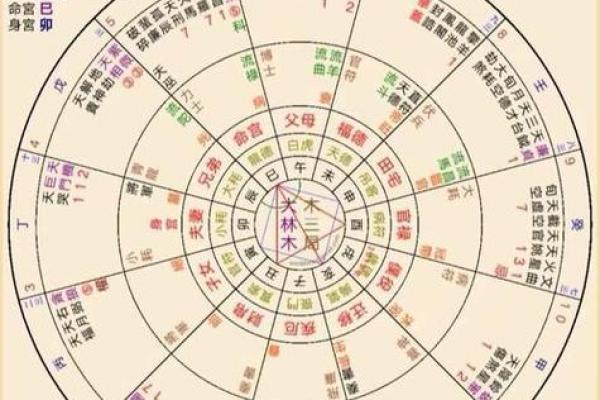 紫薇星盘斗数排盘