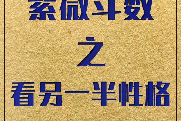 紫微斗数看财力靠自己还是靠别人技法#财富