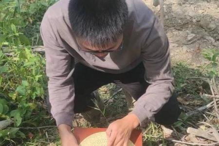 岑家风水