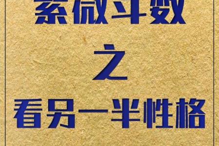 紫微斗数看财力靠自己还是靠别人技法#财富