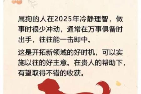 属狗在猪年财神在哪个方向