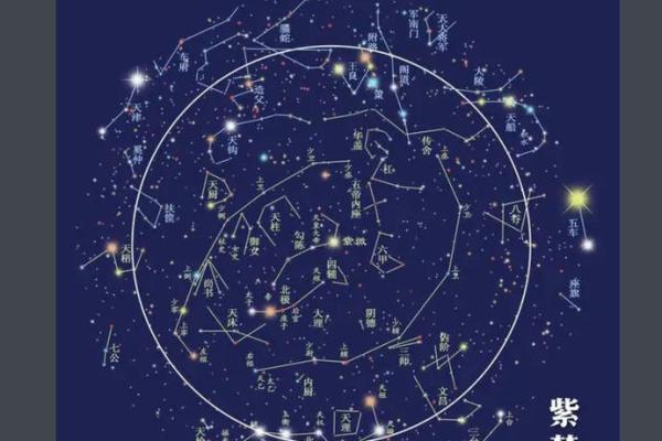 紫薇斗数看神仙