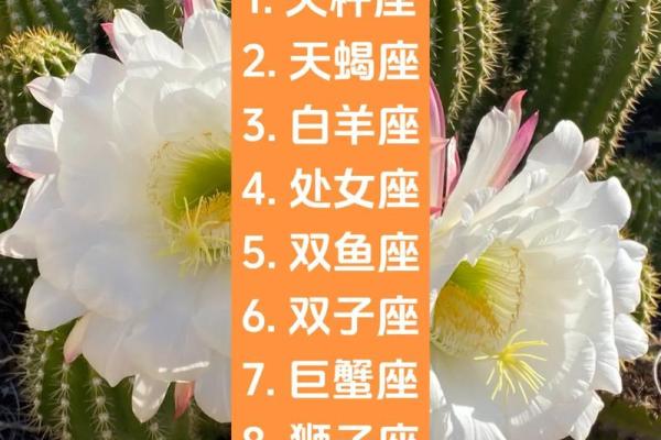 十二星座守护天秤座的女人有哪些