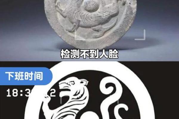 风水的左青龙右白虎是什么意思