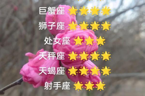 白羊女与十二星座配对指数