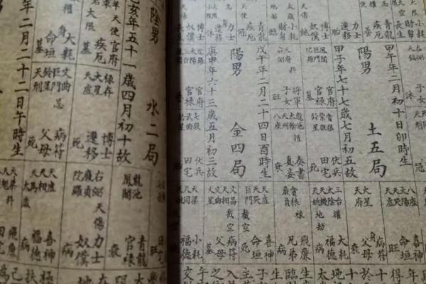 紫薇斗数特殊格局