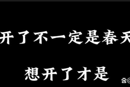 一个错误选择，从此命运非常悲惨‖盲人算命刷新对选择和命运认知