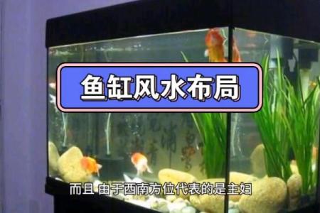 鱼缸与风水禁忌 这些摆放位置要注意