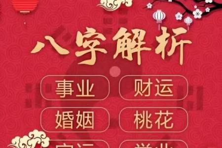 南方八字算命软件