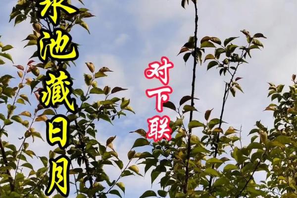 西边有池塘风水